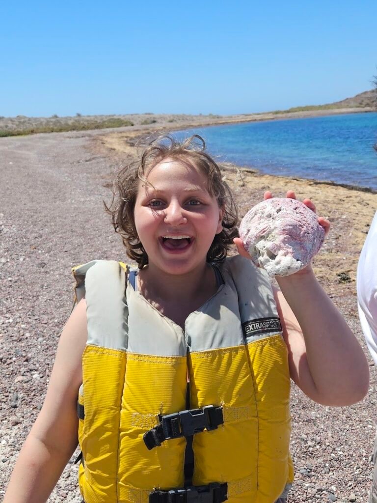 Head of school search 20250507 111344