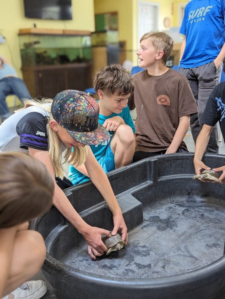 pxl 20240520 194830903.portrait